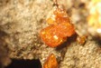 Descloizite